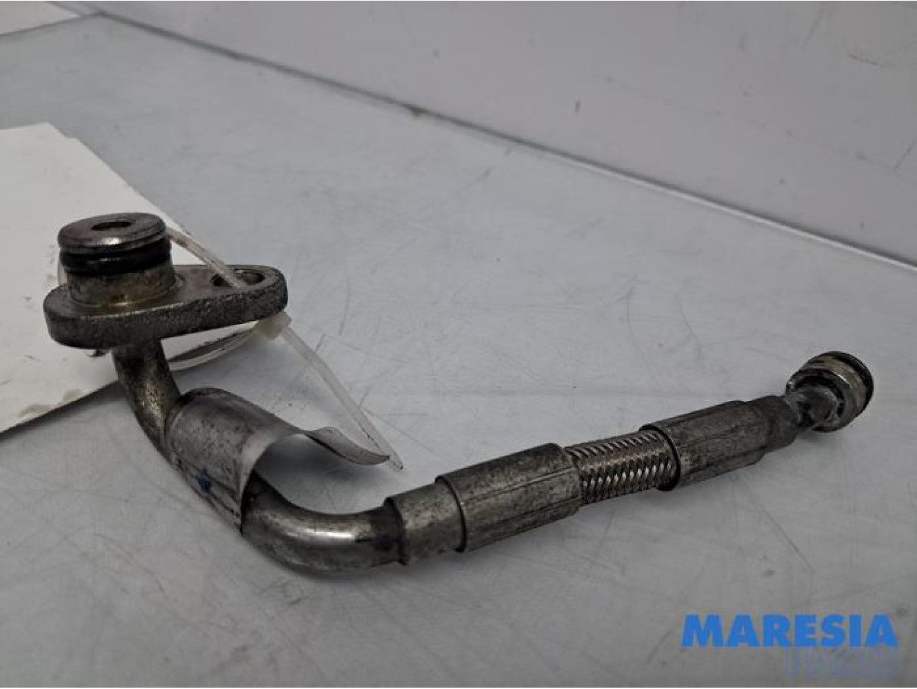 Alfa Romeo - Giulia - Lines (miscellaneous)