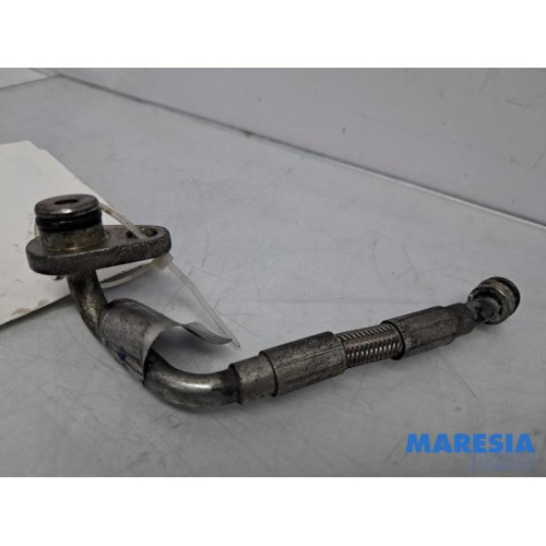 Alfa Romeo - Giulia - Lines (miscellaneous)