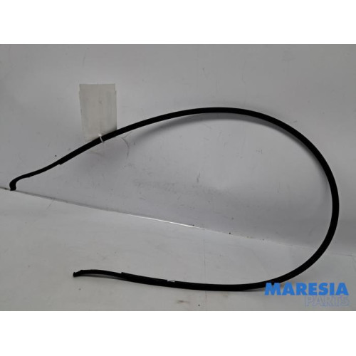 Citroen - C1 - Roof seal, left