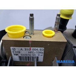 Fiat - 500 - Kachelhuis