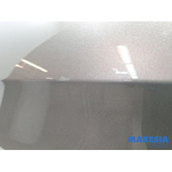 Citroen - Xsara Picasso - Door 4-door, front left