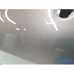 Citroen - Xsara Picasso - Door 4-door, front left