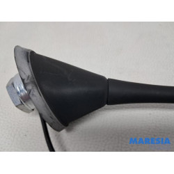Fiat - 500 - Antenne