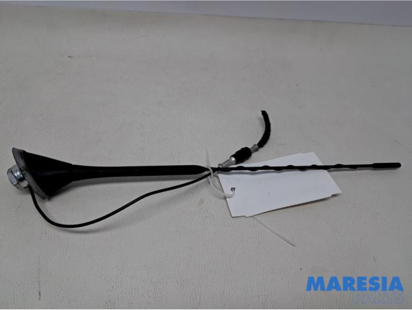 Fiat - 500 - Antenne