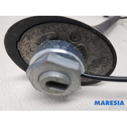 Fiat - 500 - Antenne