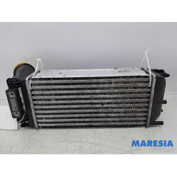 Peugeot - 308 - Ladeluftkühler