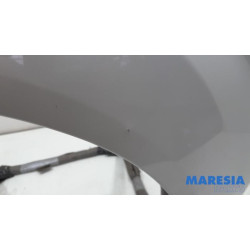 Citroen - C-Zero - Scherm links-voor