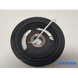 Renault - Clio - Krukas Poelie