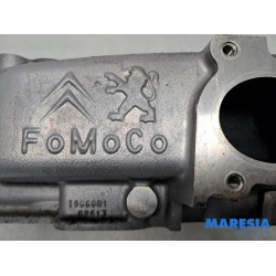 Peugeot - Expert - Cilinderkop