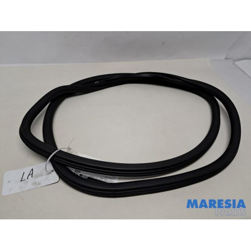 Peugeot - 308 - Joint caoutchouc portière 4portes arrière gauche