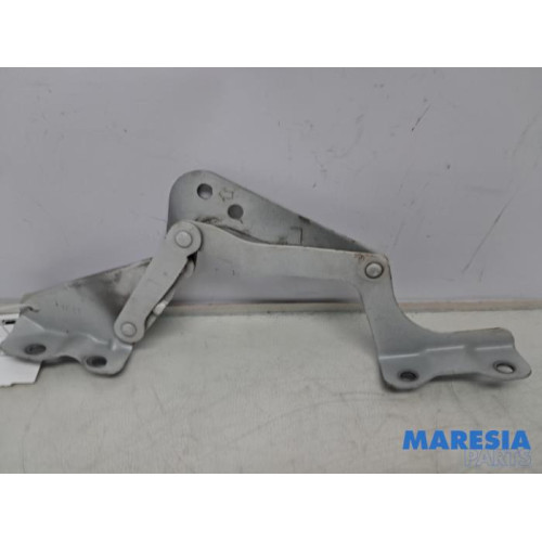 Citroen - C-Zero - Bonnet Hinge