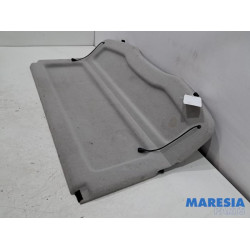 Renault - Scenic - Hoedenplank