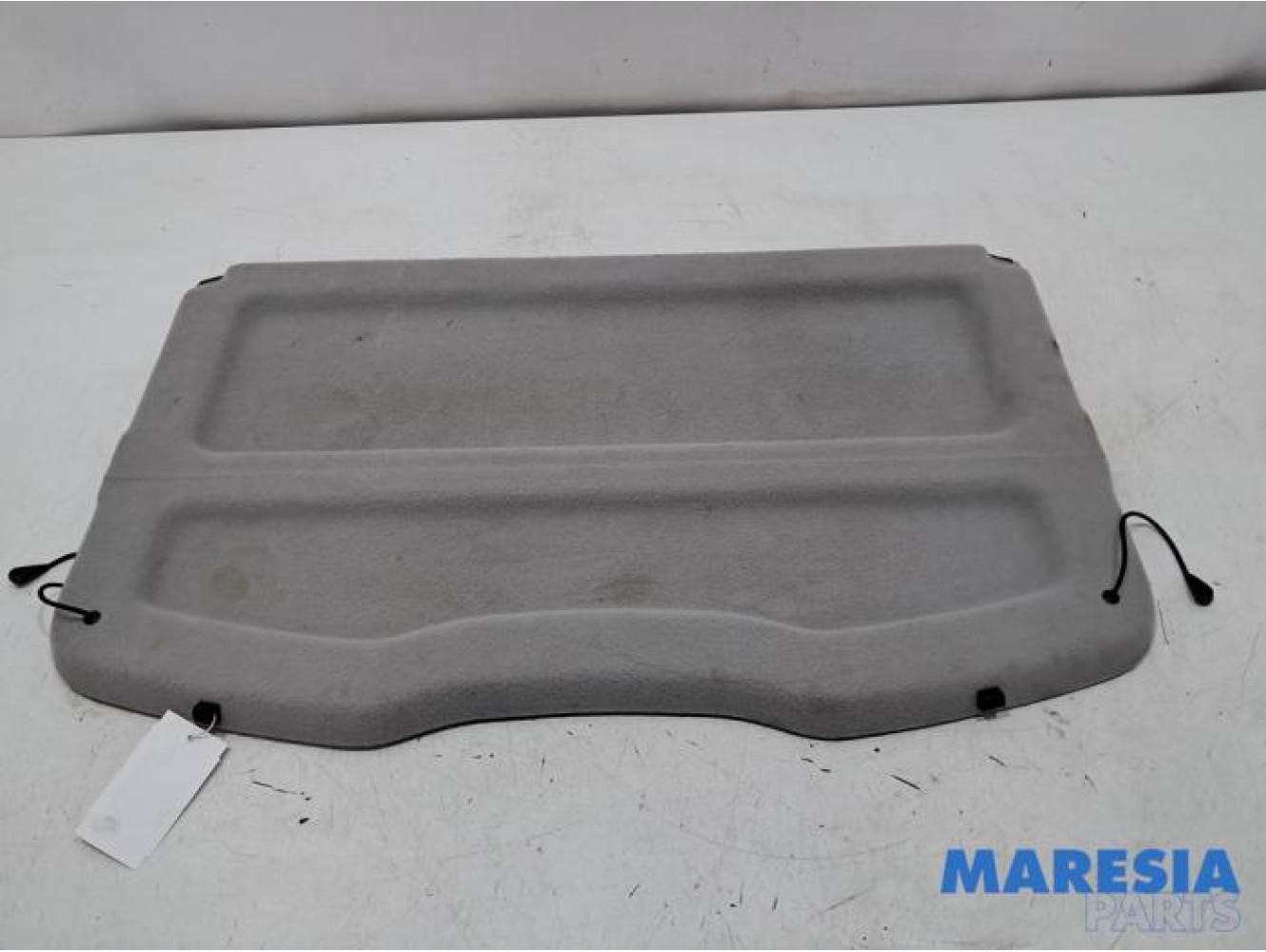 Renault - Scenic - Hoedenplank