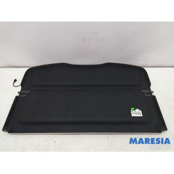 Renault - Scenic - Hoedenplank