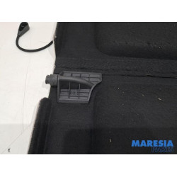 Renault - Scenic - Hoedenplank