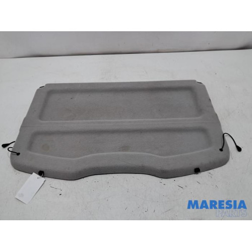 Renault - Scenic - Hoedenplank