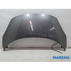 Renault - Scenic - Capot