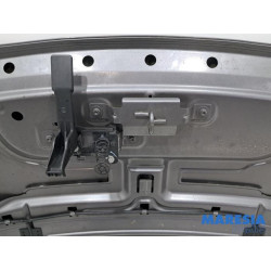 Renault - Scenic - Capot