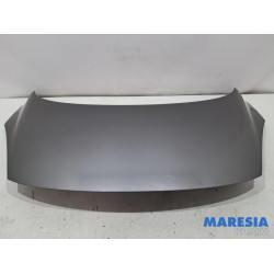 Renault - Scenic - Capot