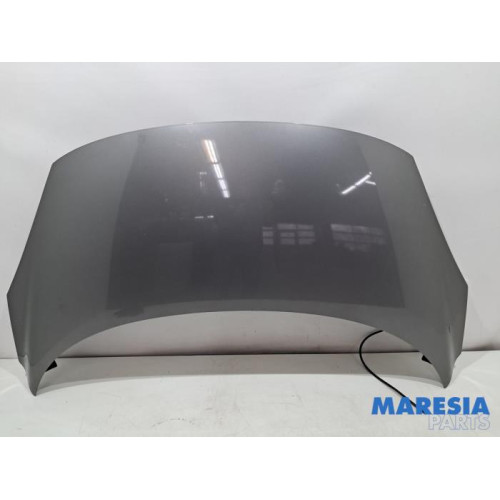 Renault - Scenic - Capot