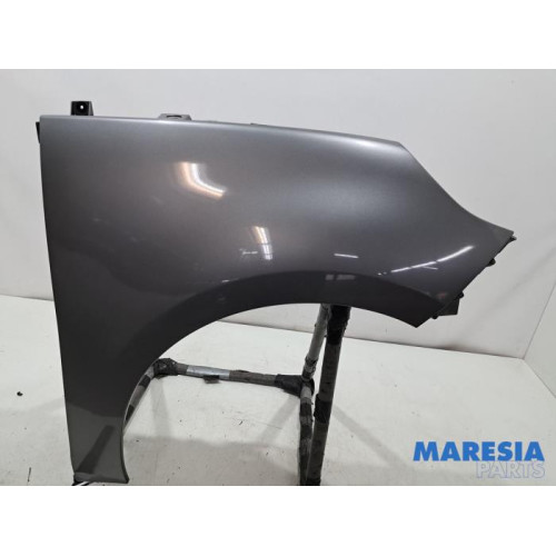 Renault - Scenic - Scherm rechts-voor