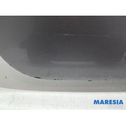 Renault - Scenic - Hayon