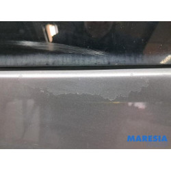 Renault - Scenic - Hayon