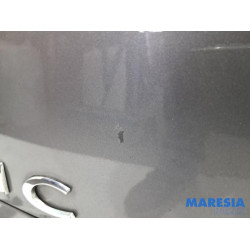 Renault - Scenic - Hayon