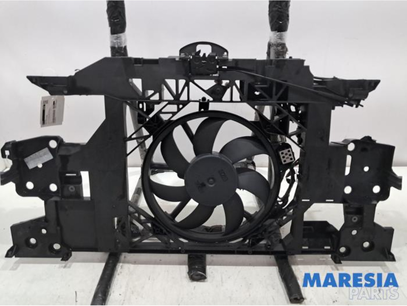 Renault - Scenic - Vorderwand