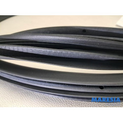 Renault - Captur - Front door seal 4-door, left