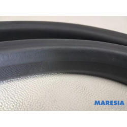 Renault - Captur - Front door seal 4-door, left