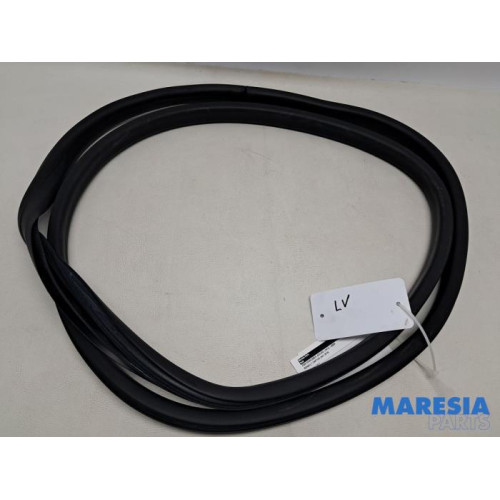 Renault - Captur - Türgummi 4-türig links vorne