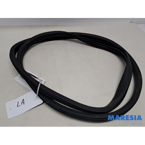 Renault - Captur - Portierrubber 4Deurs links-achter