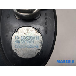 Peugeot - 3008 - Antenne