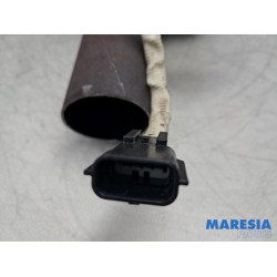 Renault - Scenic - Katalysator