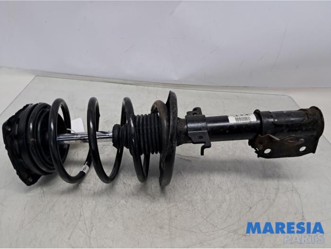 Renault - Scenic - Stoßdämpferstrebe rechts vorne