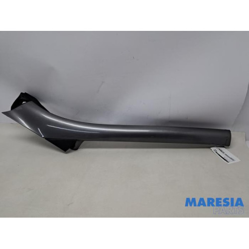 Renault - Scenic - Protection montant A gauche