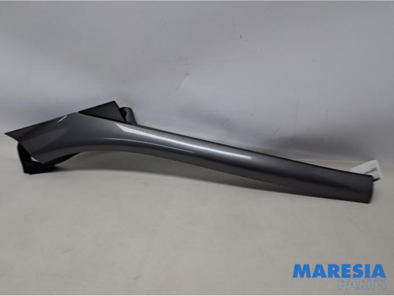 Renault - Scenic - Protection montant A droit