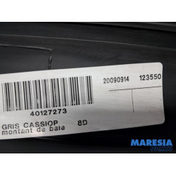 Renault - Scenic - Protection montant A droit