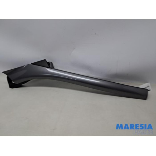 Renault - Scenic - Protection montant A droit