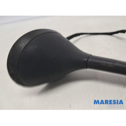 Fiat - 500 - Antenne