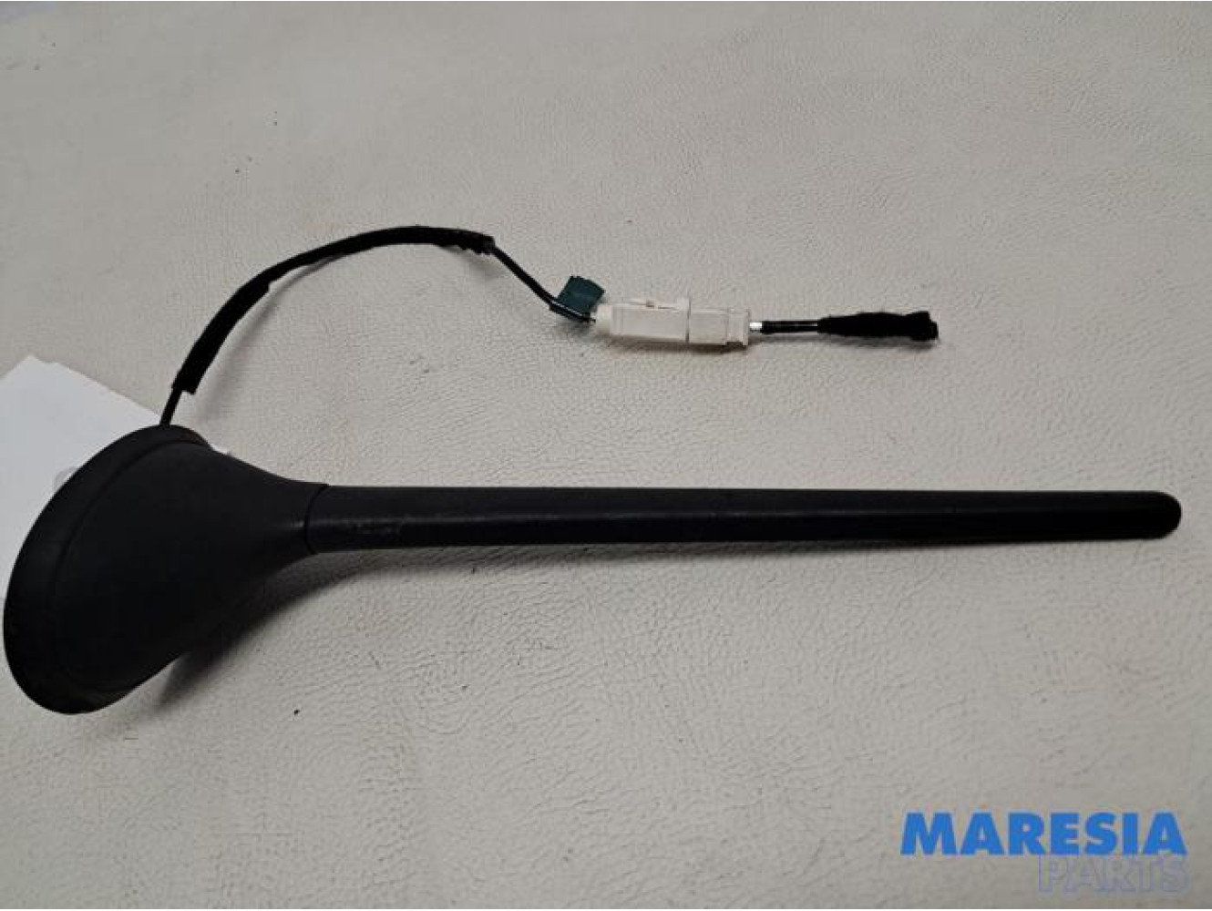 Fiat - 500 - Antenne