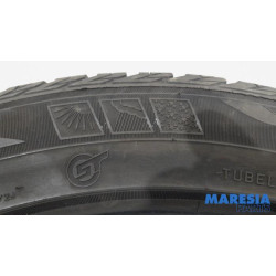 Renault - Scenic - Reifen