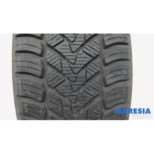 Renault - Scenic - Reifen