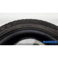 Renault - Scenic - Reifen