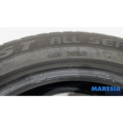 Renault - Scenic - Reifen