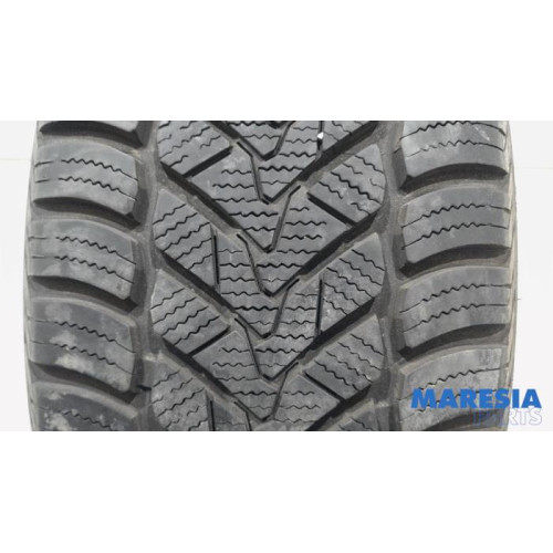 Renault - Scenic - Reifen