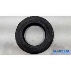 Renault - Megane - Winterband