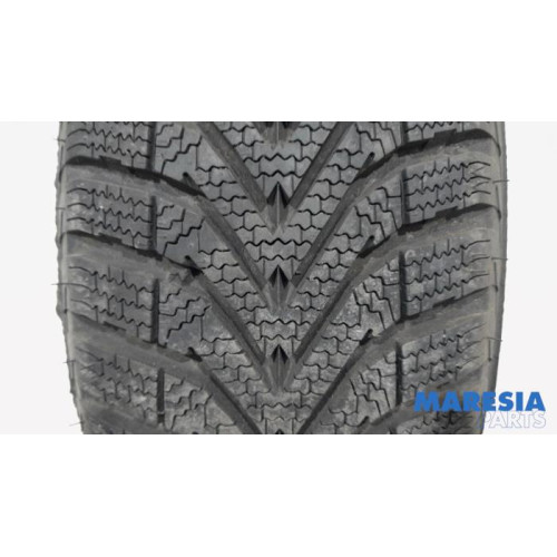 Renault - Megane - Winterband