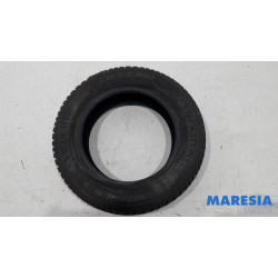 Renault - Megane - Winterband